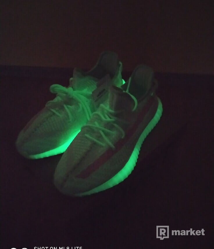 Adidas yeezy boost 350 V2 "Dark in the glow"