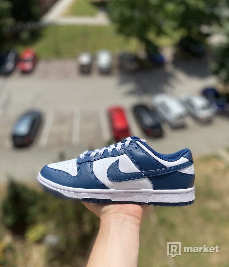 Nike dunk low valerian blue