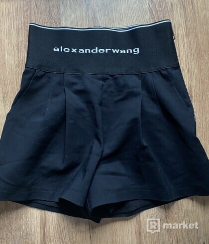 Alexander wang skirt kratasy
