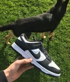 Nike dunk low Black and White