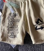 Off-Whitte Embroidered shorts