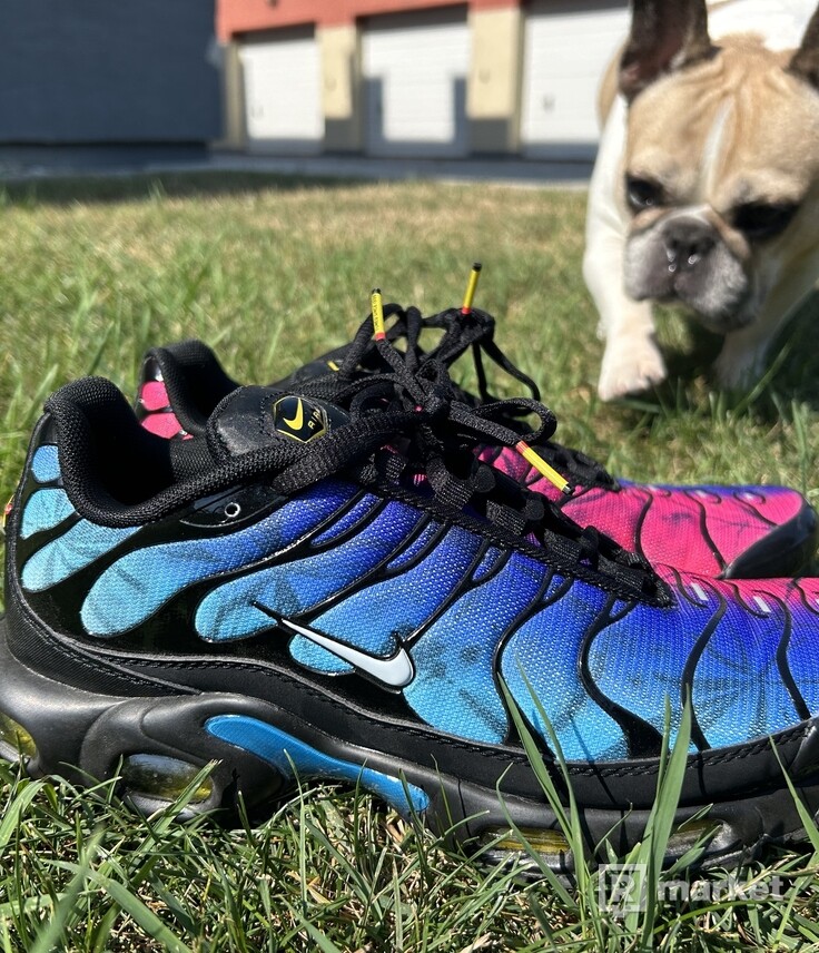 Nike Air Max Plus 25th Anniversary REFRESHER Market