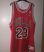 NBA x Champion JORDAN BULLS jersey