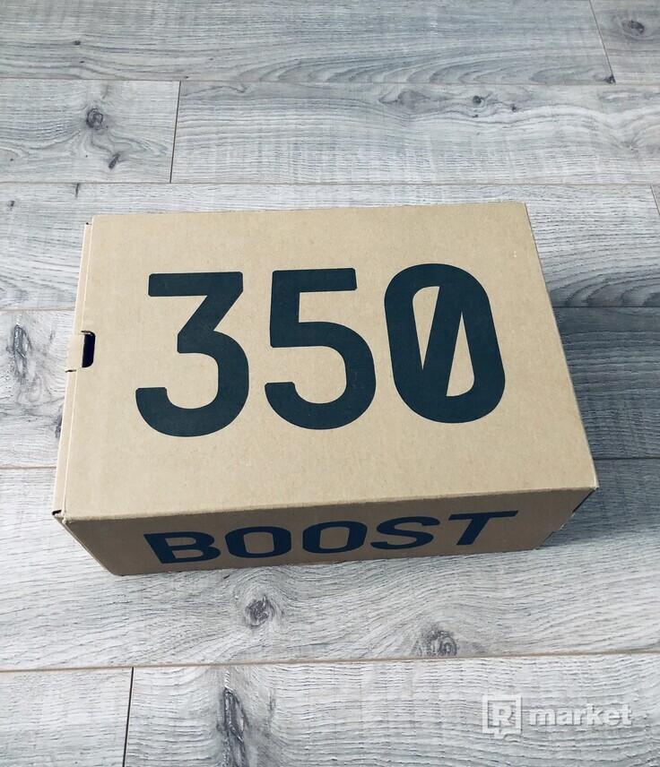 Adidas Yeezy Boost 350 v2 CW