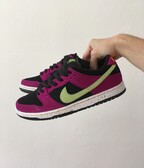 Nike SB Dunk Low ACG [42]