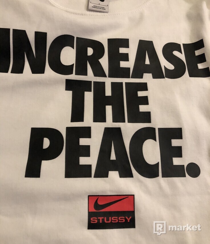Stussy x Nike STEAL