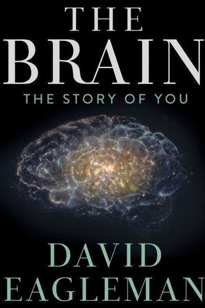 The Brain With Dr. David Eagleman